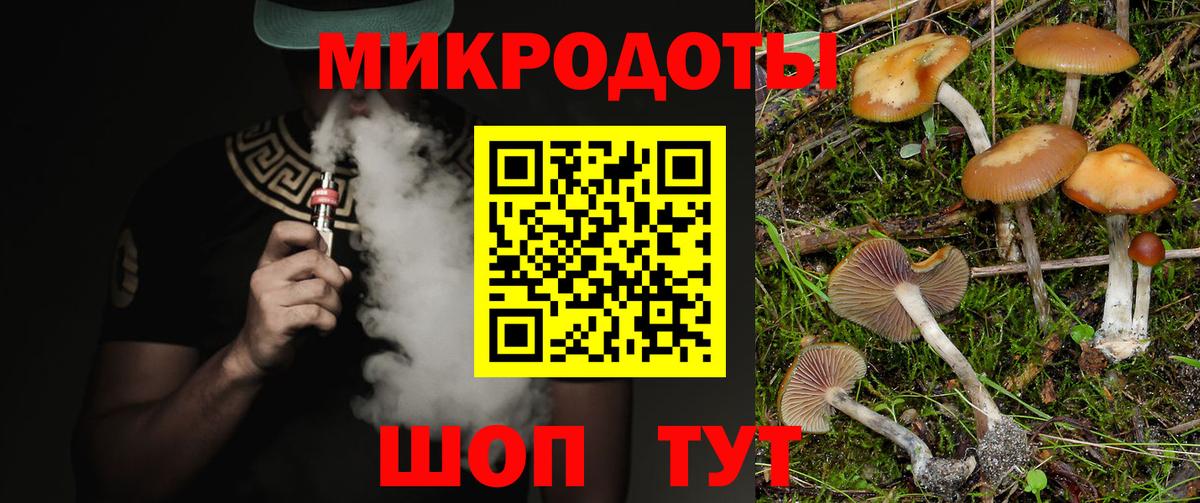 Псилоцибиновые грибы Psilocybe Елизово